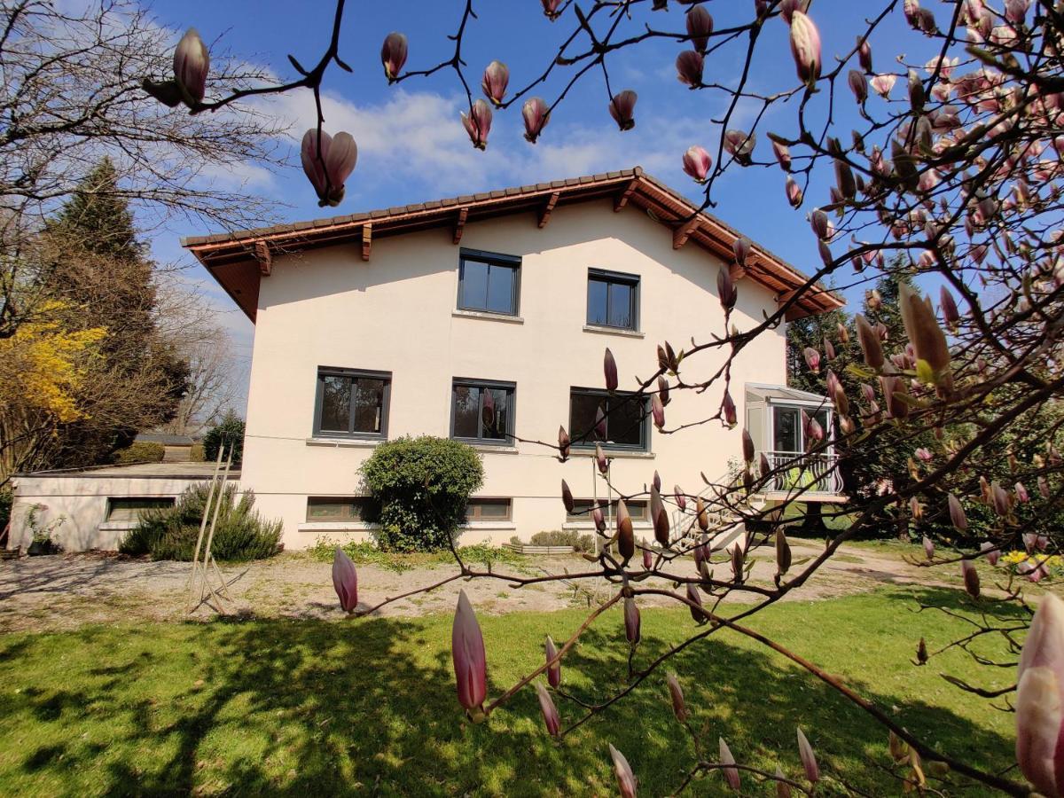 Les Pics Verts Apartman Annecy Kültér fotó